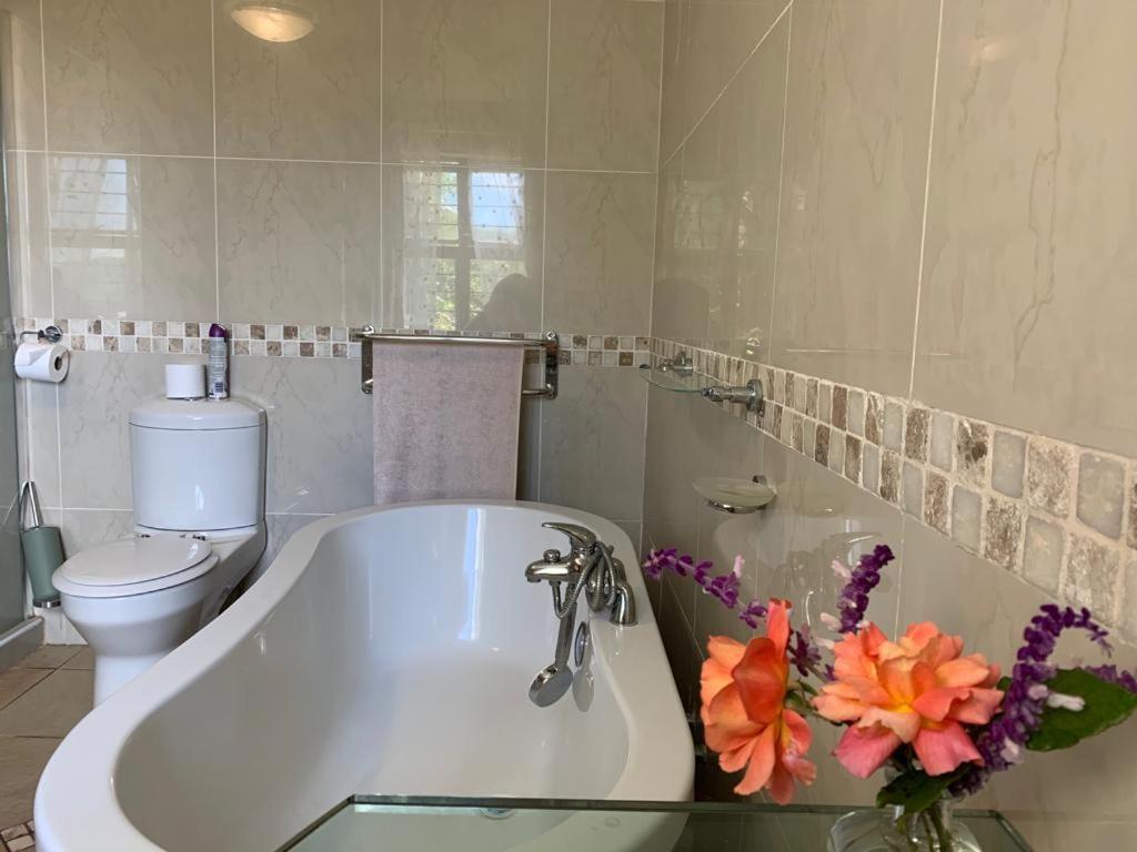 Mountain Rose Guesthouse Louis Trichardt Eksteriør bilde